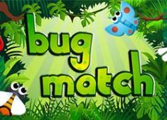 Bug Match 2